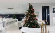 Chào Đón Noel cùng ToTo