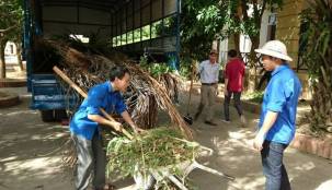 Ra quân hưởng ứng "ngày chủ nhật xanh".