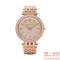 MICHAEL KORS Darci Crystal Pave Dial Ladies Watch MK3439