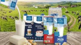 Oldenburger - Thương Hiệu Bơ Sữa Phô Mai Hảo Hạng Từ Đức