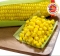  BẮP HẠT ĐÔNG LẠNH 1KG