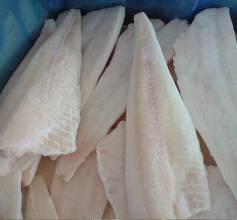 CA-TUYET-PHI-LE-FILLET-CHI-LE-FROZEN-FILLET-CHILEAN-SEA-BASS-SNOW-FISH