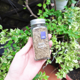 Lá Húng Quế Basil