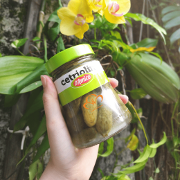 Dưa Chuột Ngâm Giấm Kiểu Ý