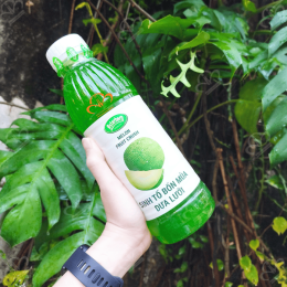 Sinh Tố Bốn Mùa Dưa Lưới Osterberg