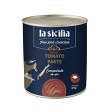 Ca-Chua-Xay-Nhuyen-Tomato-Paste